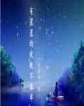 小说《有星星的夜晚不孤单》TXT下载_有星星的夜晚不孤单