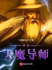 神圣大魔导师_神圣大魔导师