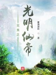 小说《完美世界之光明仙帝》TXT下载_完美世界之光明仙帝