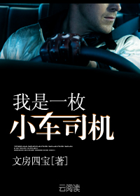 男主女主是李文龙,林雪梅,孔佳怡的小说是什么_我是小司机