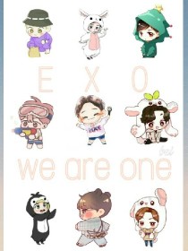 EXO是韩国SMEntertainment公司于2012年4月8日正式推出的12人男子组合。现以9名_EXO专用美图铺