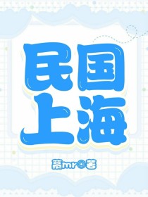 民国海战小说推荐_民国上海