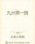 九州的第一部小说_九州第一国