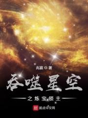 吞噬星空之炼宝领主 小说_吞噬星空之炼宝领主