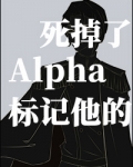 男主女主是林澜,顾微,傅宁的小说是什么_标记他的Alpha死掉了