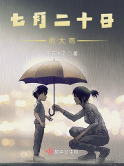 小说《七月二十日的大雨》TXT下载_七月二十日的大雨