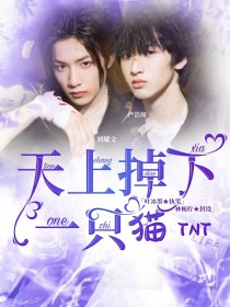 小说《TNT：天上掉下一只猫》TXT下载_TNT：天上掉下一只猫