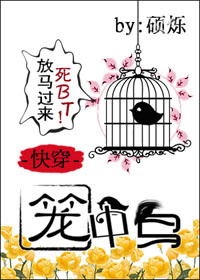 男主女主是燕奇,陆文博,小喜子的小说是什么_快穿之笼中鸟