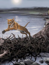 小说《猫武士之狮焰之转世》TXT百度云_猫武士之狮焰之转世