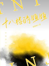 小说《TNT：十八楼的姐姐》TXT下载_TNT：十八楼的姐姐