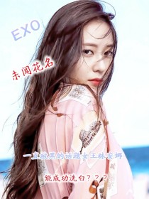 男主女主是林安娜,安娜,朴灿烈的小说是什么_未闻花名——EXO