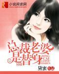 男主女主是夏宇,金雅宣,安永吉的小说是什么_总裁老婆是替身