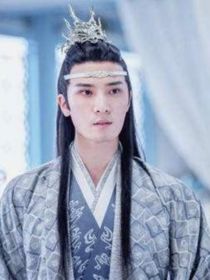 小说《陈情令：与君书》TXT百度云_陈情令：与君书