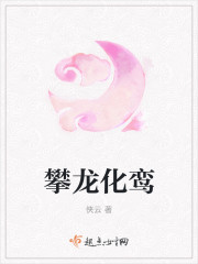男主女主是时宇,铁平,刘彻的小说是什么_攀龙化鸾
