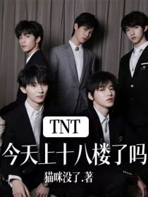 男主女主是严浩翔,丁程鑫,刘耀文的小说是什么_TNT：今天上十八楼了吗？