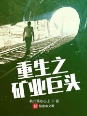 男主女主是何润琦,赵禾浦,陈金河的小说是什么_重生之矿业巨头