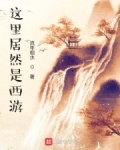 男主女主是刘亮,老冯,刘景胜的小说是什么_这里居然是西游