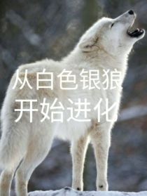 小说《从白色银狼开始进化》TXT百度云_从白色银狼开始进化
