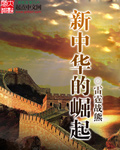 男主女主是赵云明,科马斯,吴宏的小说是什么_新中华的崛起