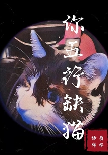 猫 五行_你五行缺猫