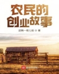 小说《农民的创业故事》TXT下载_农民的创业故事