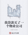 男主女主是刘成国,龙哥,庞天权的小说是什么_我贷款买了一个物业公司