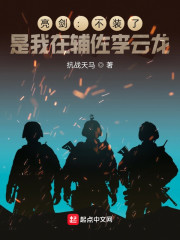 亮剑之我是李云龙小说_亮剑：不装了，是我在辅佐李云龙