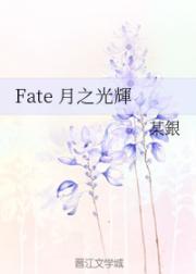 fate之湖光_Fate月之光輝
