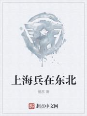 小说《上海兵在东北》TXT下载_上海兵在东北