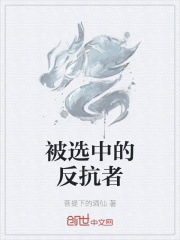 男主女主是刘文昊,约翰,雪梅儿的小说是什么_被选中的反抗者