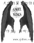 小说《天使羽翼下的伤痕》TXT百度云_天使羽翼下的伤痕