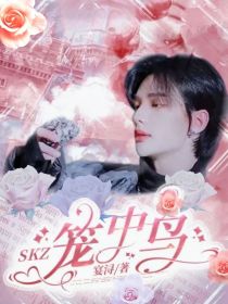 笼中鸟任务_SKZ：笼中鸟