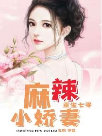 男主女主是胡文溪,胡国娟,刘秀梅的小说是什么_重生七零麻辣小娇妻