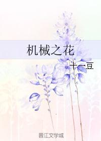 小说《机械之花》TXT百度云_机械之花