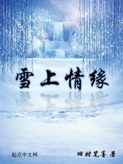 男主女主是何晓冰,陈灵玉,木瑾的小说是什么_雪上情缘