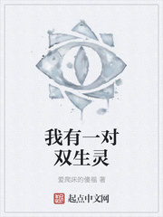 男主女主是徐胜,许明浩,徐鑫的小说是什么_我有一对双生灵