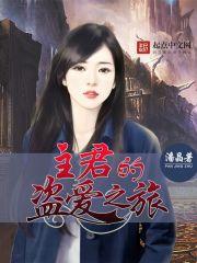 男主女主是陈泰阳,陈兴深,周冰月的小说是什么_主君的盗爱之旅