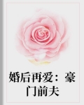 小说《婚后再爱：豪门前夫》TXT下载_婚后再爱：豪门前夫