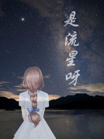 男主女主是林半夏,胡夏,赵力的小说是什么_是流星呀