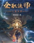 魔法世界主宰_全职法师之世界主宰