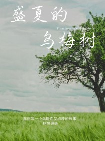 小说《盛夏的乌梅树》TXT百度云_盛夏的乌梅树