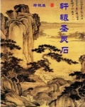 男主女主是林逸仙,陆琳琅,青儿的小说是什么_轩辕圣灵石