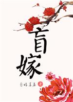 齐瑜明菊《盲嫁》_盲嫁