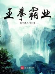 男主女主是王宇,董伟,王雨凝的小说是什么_王拳霸业