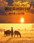 小说《美好非洲旅行社》TXT百度云_美好非洲旅行社