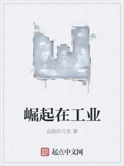 男主女主是陈飞,李婷婷,陈兴平的小说是什么_崛起在工业