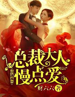 男主女主是陆晟,陆宸,乔安的小说是什么_傲娇前妻：总裁大人慢点爱