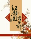 小说《红颜泪，君子醉》TXT百度云_红颜泪，君子醉