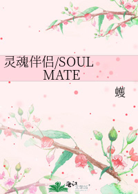 小说《灵魂伴侣/SOULMATE》TXT下载_灵魂伴侣/SOULMATE