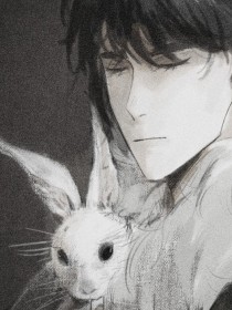 关于那年那兔那些事的小说_关于吴邪变成兔子的那些事